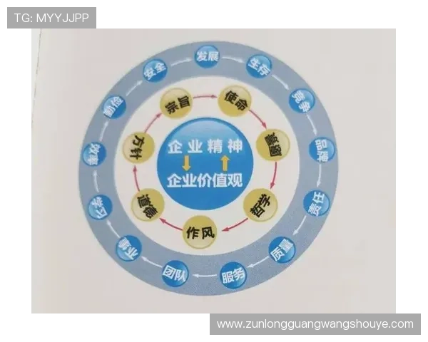 揭秘尊龙集团官网的企业文化与团队建设成功案例