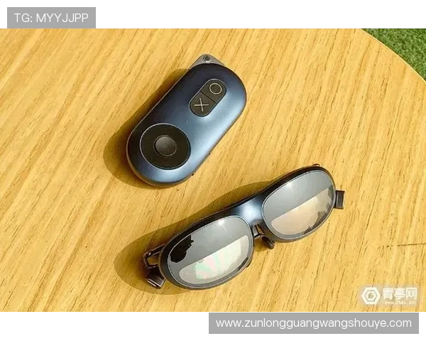 Z6软件下载与登录常见问题及解决方案全面解析提升使用体验