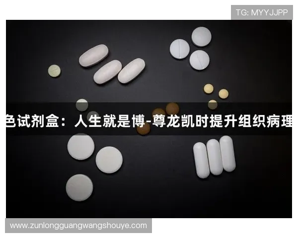 凯时尊龙人生就是博-安全措施全面提升您的游戏体验与保障
